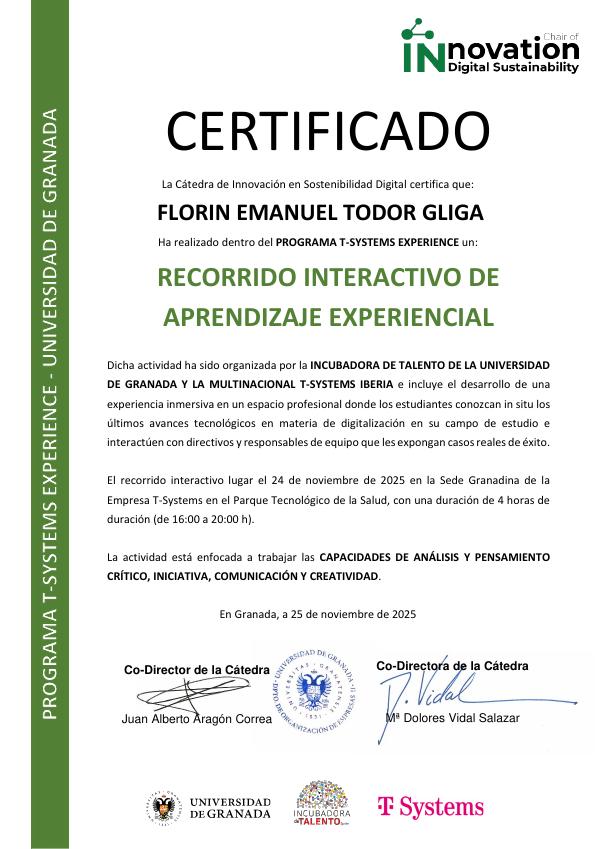 Certificado: Programa T-Systems Experience