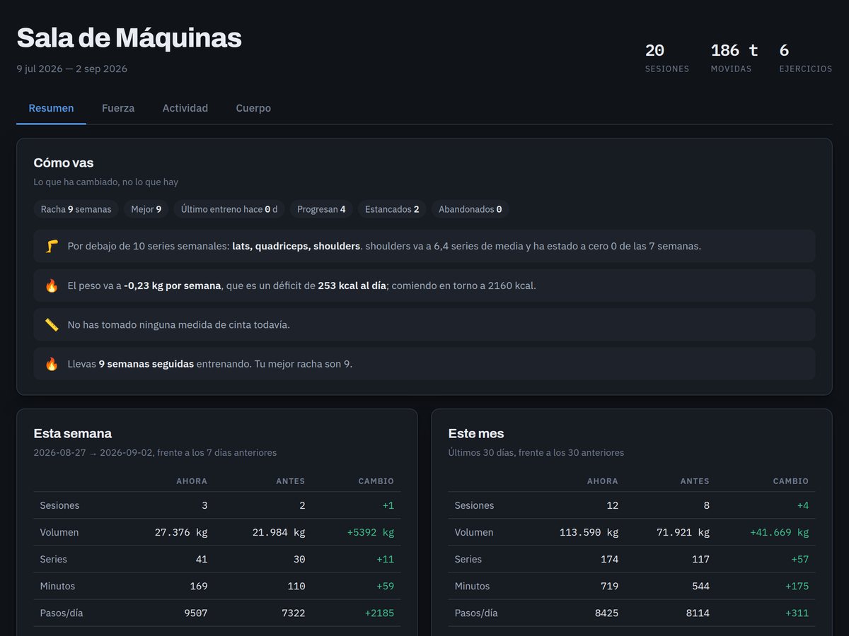 Captura de la demo de rutina-export - Tus datos de salud a Notion sin suscripciones